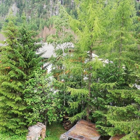 Cesa Pier Sellaronda Dolomiti Daire Campitello di Fassa Dış mekan fotoğraf