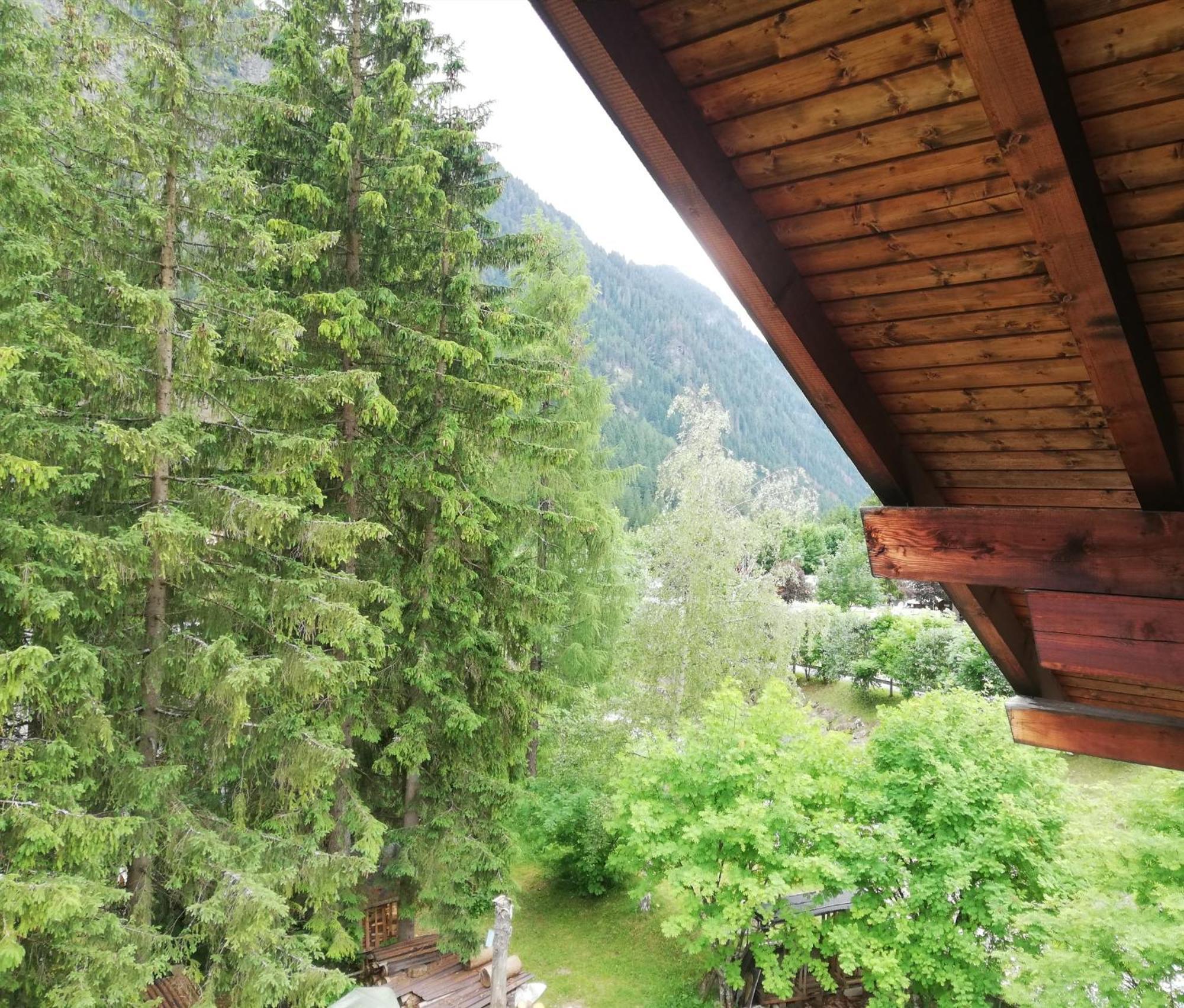 Cesa Pier Sellaronda Dolomiti Daire Campitello di Fassa Dış mekan fotoğraf